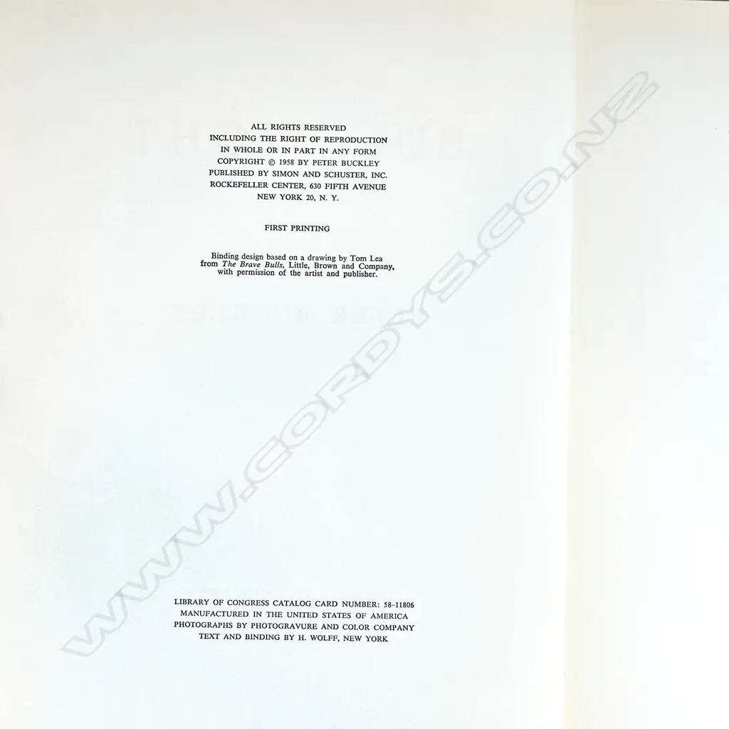 PETER BUCKLEY: BULLFIGHT Image 1++